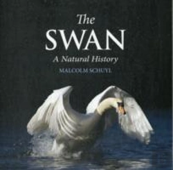 Bertrand.pt - The Swan