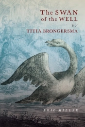 The Swan Of The Well By Titia Brongersma