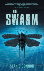 The Swarm