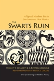 The Swarts Ruin