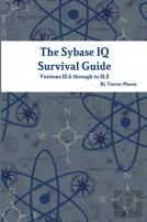 The Sybase Iq Survival Guide