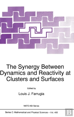 Bertrand.pt - The Synergy Between Dynamics And Reactivity At Clusters And Surfaces
