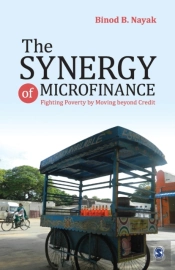 The Synergy Of Microfinance