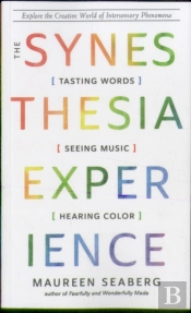 The Synesthesia Experience