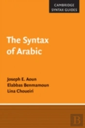 The Syntax Of Arabic