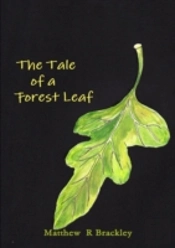 The Tale Of A Forest Leaf