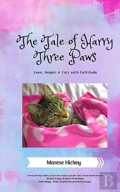 The Tale Of Harry Three Paws