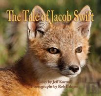 The Tale Of Jacob Swift