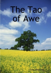 The Tao Of Awe