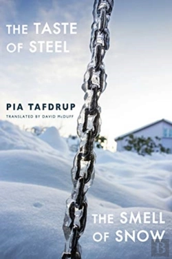Bertrand.pt - The Taste Of Steel Â€¢ The Smell Of Snow