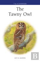The Tawny Owl