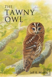 The Tawny Owl