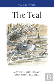 The Teal