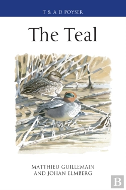Bertrand.pt - The Teal