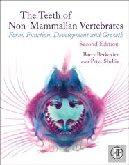 The Teeth Of Non-Mammalian Vertebrates