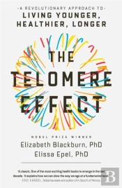 The Telomere Effect