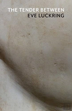 Bertrand.pt - The Tender Between