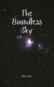 The The Boundless Sky