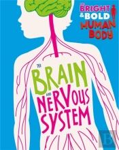 The The Brain And Nervous System