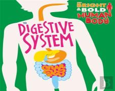 The The Digestive System