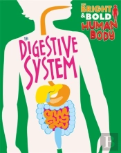 The The Digestive System