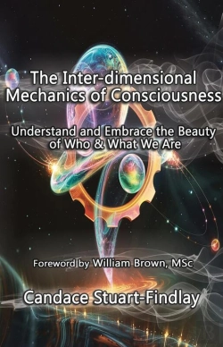 Bertrand.pt - The The Inter-Dimensional Mechanics Of Consciousness