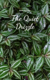 The The Quiet Drizzle