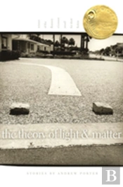 The Theory Of Light And Matter