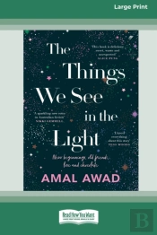 The Things We See In The Light (16pt Large Print Edition)