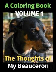 The Thoughts Of My Beauceron
