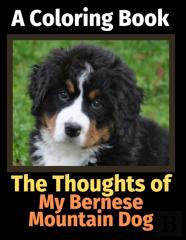 The Thoughts Of My Bernese Mountain Dog