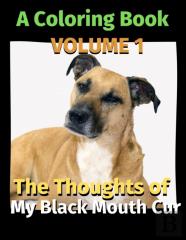 The Thoughts Of My Black Mouth Cur