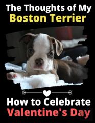The Thoughts Of My Boston Terrier