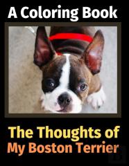 The Thoughts Of My Boston Terrier