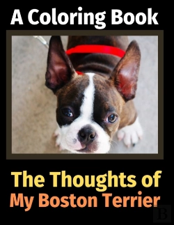 Bertrand.pt - The Thoughts Of My Boston Terrier