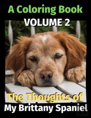 The Thoughts Of My Brittany Spaniel