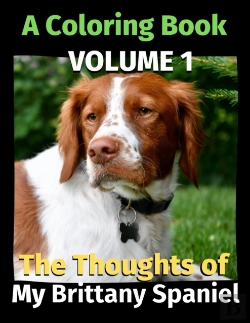 Bertrand.pt - The Thoughts Of My Brittany Spaniel