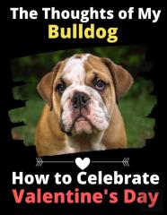 The Thoughts Of My Bulldog