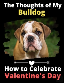 Bertrand.pt - The Thoughts Of My Bulldog