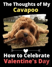 The Thoughts Of My Cavapoo: How To Celeb