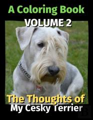 The Thoughts Of My Cesky Terrier