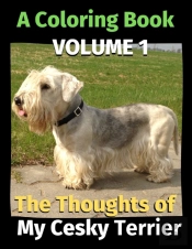 The Thoughts Of My Cesky Terrier