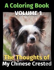The Thoughts Of My Chinese Crested