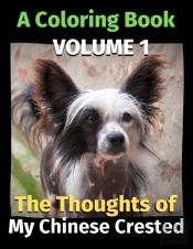 The Thoughts Of My Chinese Crested