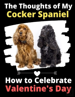 Bertrand.pt - The Thoughts Of My Cocker Spaniel: How T