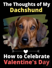 The Thoughts Of My Dachshund: How To Cel