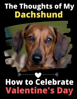 Bertrand.pt - The Thoughts Of My Dachshund: How To Cel