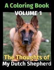 The Thoughts Of My Dutch Shepherd