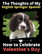 The Thoughts Of My English Springer Span