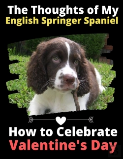 Bertrand.pt - The Thoughts Of My English Springer Span